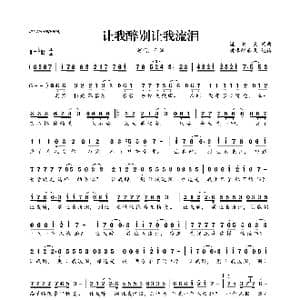 让我醉别让我流泪_歌曲简谱_词曲:湛洪良 湛洪良