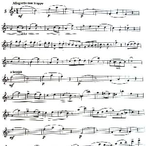 长笛曲谱 | 三十首小练习曲作品120号 NO.5 Garibold 加里波第