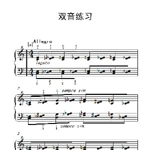 双音练习 钢琴谱