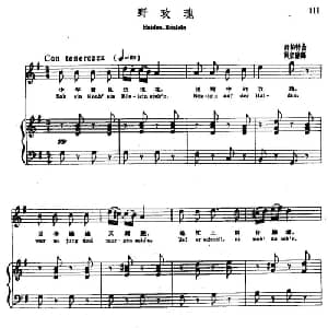 野玫瑰_外国歌谱_词曲: 舒伯特曲 尚家骧译