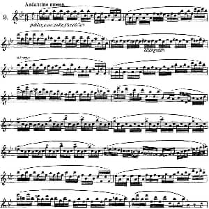 长笛曲谱 | 柯勒30首高级长笛练习曲作品75号 NO.9 Kohler 柯勒