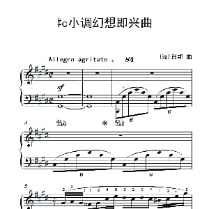 #c小调幻想即兴曲 钢琴谱 波 肖邦