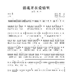 泪花开在爱情里_歌曲简谱_词曲:赵洋 赵洋
