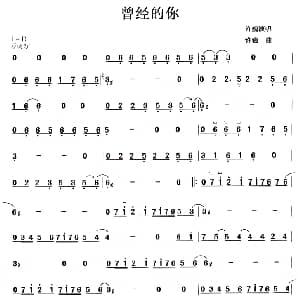 古筝谱 | 曾经的你 许巍