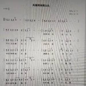 风雨同舟到白头_歌谱投稿_词曲:岳三丰 岳三丰