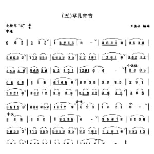 笛子谱 | 草儿青青 王其书编曲