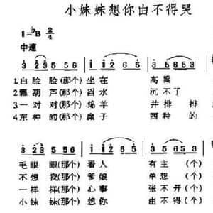 小妹妹想你由不得哭_民歌简谱