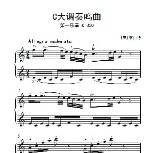 第八级1.C大调奏鸣曲 第一乐章 K.330 钢琴谱 奥 莫扎特