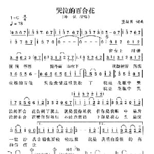 哭泣的百合花_通俗唱法乐谱_词曲:董赫男