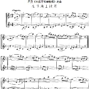 小提琴谱 | 霍曼 小提琴基础教程 选曲 在草地上跳舞 二重奏