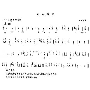 琵琶谱 | 煞的练习 林石城