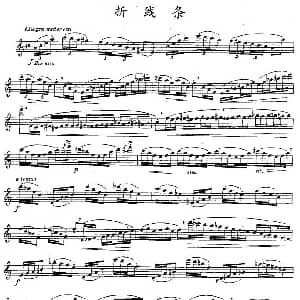 长笛曲谱 | 折线条