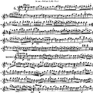 长笛曲谱 | 德维埃纳六个长笛二重奏小段Op.82 Flute 1 NO.6 Devienne 德维埃纳