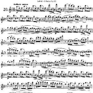 长笛曲谱 | 二十首练习曲作品132号之20 Garibold 加里波第