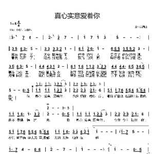 真心实意爱着你_歌曲简谱_词曲:王小荣 王小荣