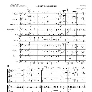 向斯拉夫女人告别 总谱