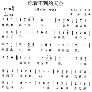 你看不到的天空_通俗唱法乐谱