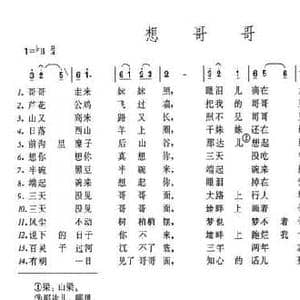 想哥哥_民歌简谱
