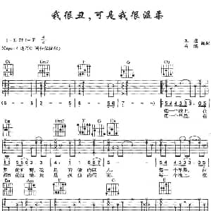我很丑可是我很温柔 吉他谱 赵传