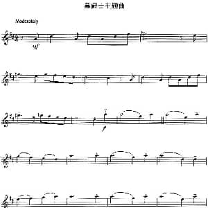 小提琴谱 | 黑爵士主题曲