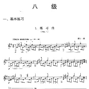 古典吉他考级八级练习曲 吉他谱