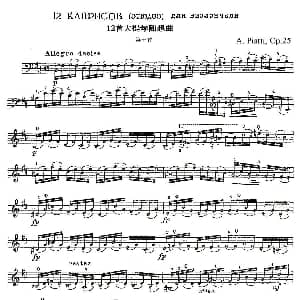 A. Piatti 12 Caprice Op.25 皮阿蒂 12首大提琴随想曲 第十