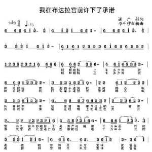 我在布达拉宫前许下了承诺_民歌简谱_词曲:谢广娟 李平 穆红梅