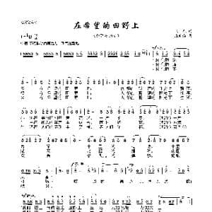在希望的田野上_歌曲简谱_词曲:晓光 施光南