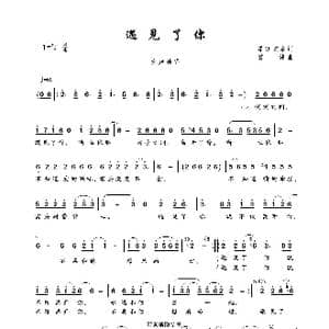 遇见了你_歌曲简谱_词曲:昂旺文章 曾健