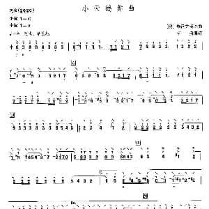 小天鹅舞曲 阮谱