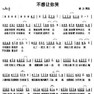 不想让你哭_通俗唱法乐谱_词曲:胡力 胡力