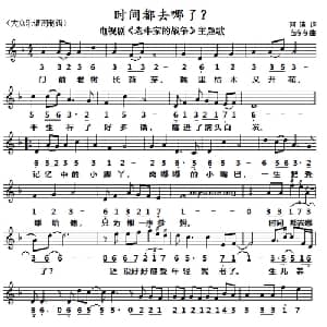 时间都去哪了？_通俗唱法乐谱_词曲:阿曦 苗冬冬