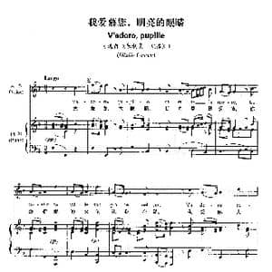 我爱慕您,明亮的眼睛_歌谱投稿