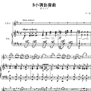 小提琴谱 | B小调协奏曲第三乐章 小提琴 钢琴