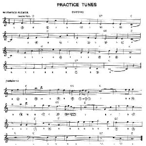 口琴谱 | PRACTICE TUNES 布鲁斯入门初级乐曲2首 五线谱