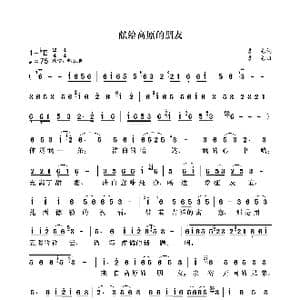 献给高原的朋友_歌曲简谱_词曲:袁龙 袁龙