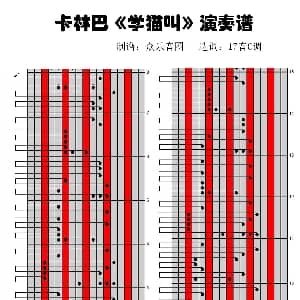学猫叫 拇指琴卡林巴琴演奏谱 小峰峰 小峰峰
