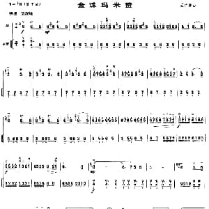 二胡谱 | 金珠玛米赞 扬琴伴奏谱 王竹林