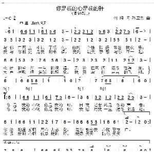你是我的心我的肝_歌曲简谱_词曲:刘闯 孙卫东