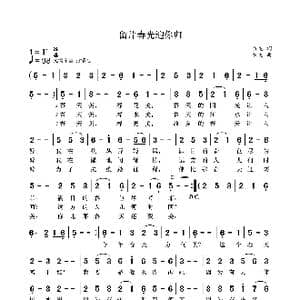 留片春光迎你归_歌曲简谱_词曲:袁龙 袁龙