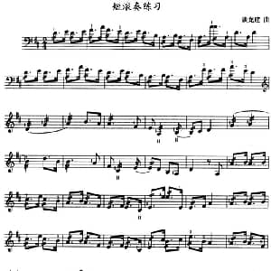 三弦短滚奏练习曲 五线谱 谈龙建