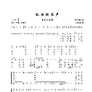 孤独的琴声_歌谱投稿_词曲:赵鹏豪 黄耀国