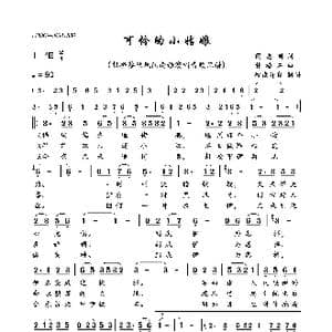 可怜的小姑娘_歌曲简谱_词曲:闵志刚 朴椿石