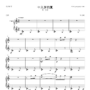 十八岁的夏 钢琴谱 陈壹政