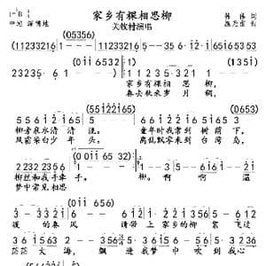 家乡有棵相思柳 关牧村 _歌曲简谱_词曲:韩伟 施光南