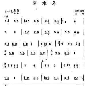 啄木鸟 苗族唢呐