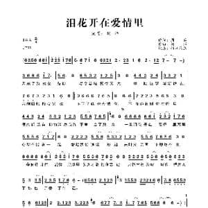 泪花开在爱情里_歌谱投稿_词曲:赵洋 赵洋