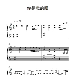 你是我的眼 钢琴谱