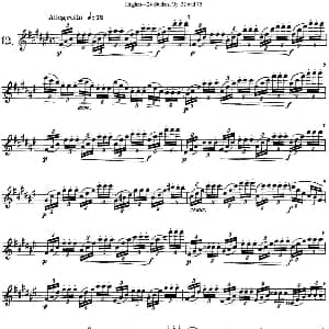 长笛曲谱 | 胡埃斯24首长笛练习曲Op.32 NO.12 胡埃斯