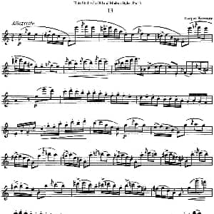 长笛曲谱 | 斯勒新老风格长笛练习重奏曲 第三部分 NO.13 NO.14 Siegfried Thiele S. 斯勒